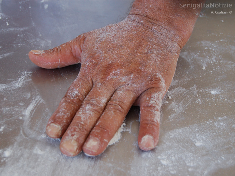 20/09/2013 - Mano infarinata