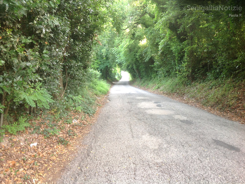 02/09/2014 - Strada di San Gaudenzio