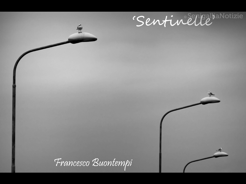30/09/2014 - Sentinelle