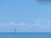 27/09/2014 - Barche a vela