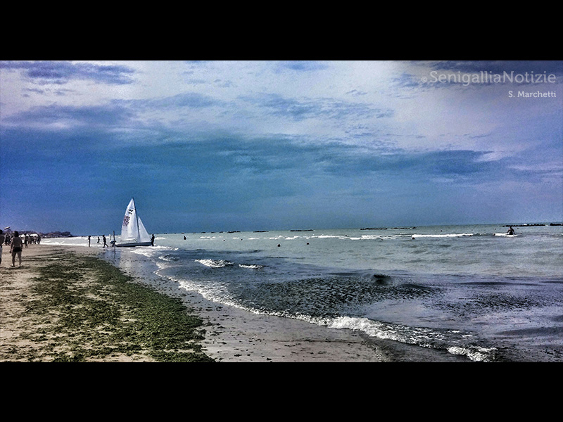 04/09/2015 - Letto di alghe in riva al mare