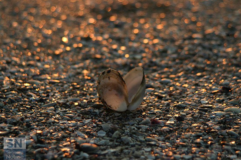 05/09/2016 - Dal basso