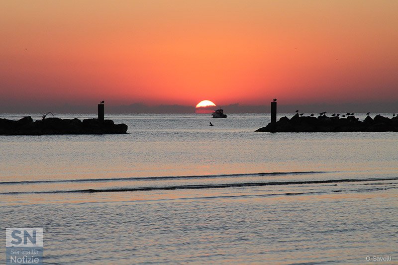 25/09/2016 - Trasparenza