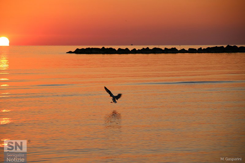 16/09/2017 - Ali sull'alba