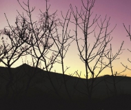 12/09/2017 - Tramonto violaceo