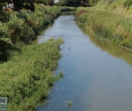 15/09/2017 - Dentro il Misa