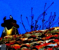 21/09/2017 - Passeri