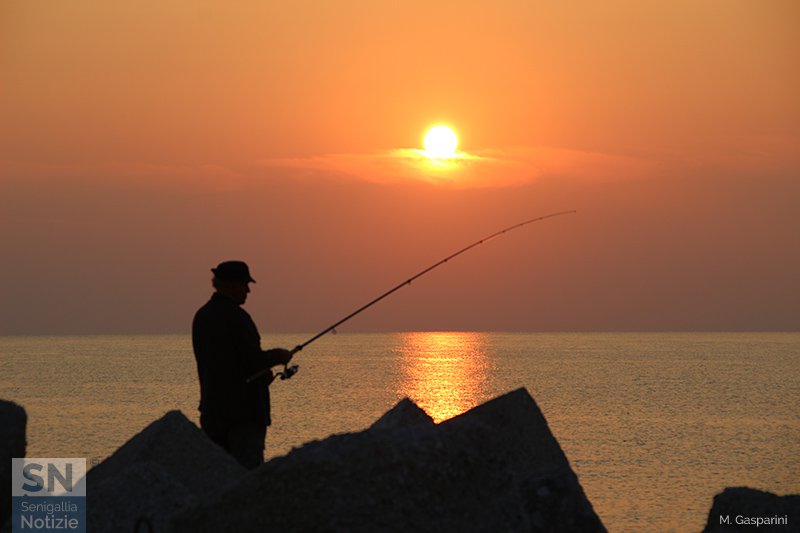 02/09/2018 - Tra silenzio e colore