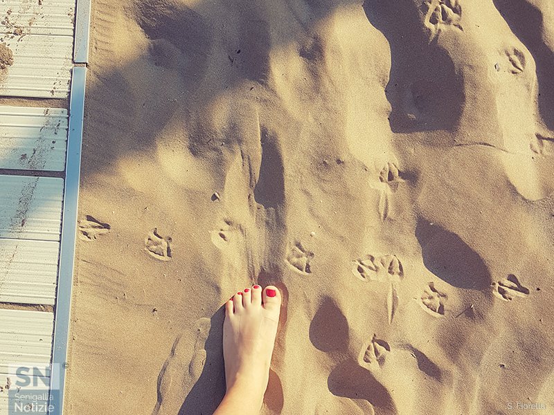 03/09/2018 - Impronte... Inizia la vacanza