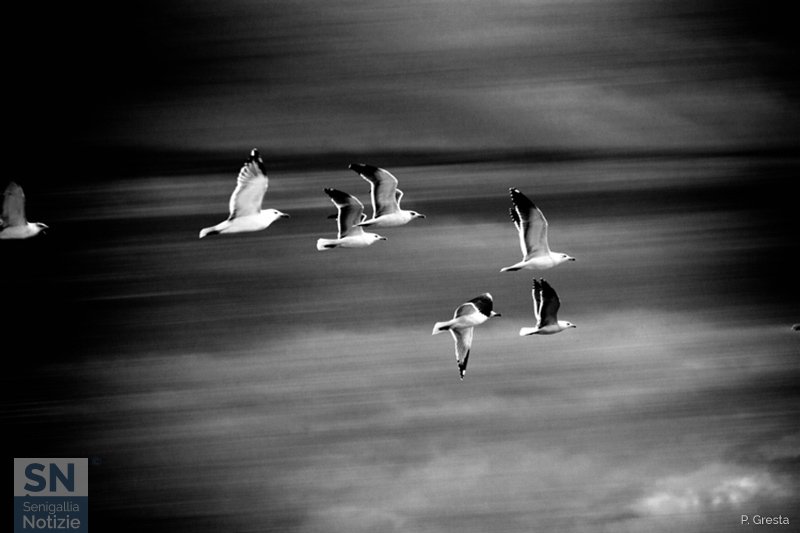 15/09/2018 - Il volo