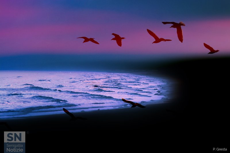 28/09/2018 - Paesaggio marino in violaceo