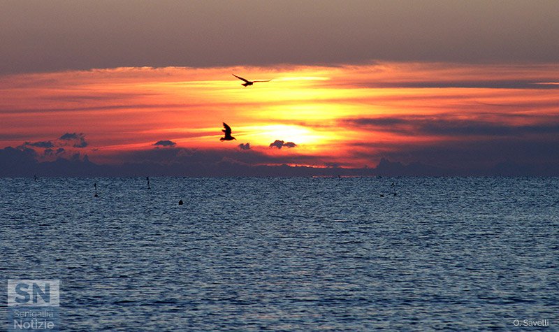 13/09/2019 - Alba volante