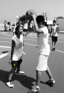 Basket: la Summer League 2012 a Senigallia