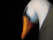 Spettacolo La Città dei Sogni