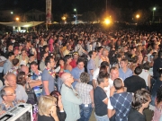 Il pubblico del Big Hawaiian Party