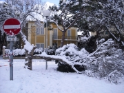 Viale Anita Garibaldi