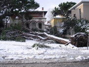 Viale Anita Garibaldi