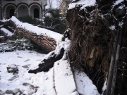 Viale Anita Garibaldi