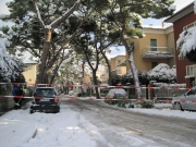 Viale Anita Garibaldi
