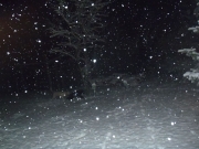 Foto di Giovanni Rocchetti