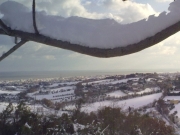 Da Scapezzano - Foto di Gabriele Palestrini