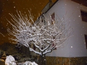 Foto di Paolo Formiconi