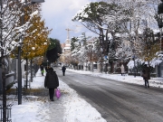 Viale Matteotti