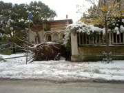 Viale Anita Garibaldi - Foto di Marco Corsaro