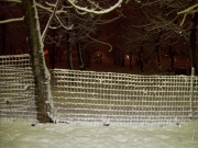 Pista ciclabile verso la Cesanella - Foto di Ornella Politi