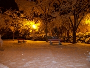 Giardini del Centro Tennistavolo - Foto di Ornella Politi