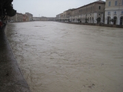 Il Misa in piena da via Rossini