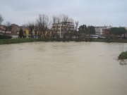 Il Misa in piena da ponte Portone