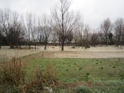 Il Misa in piena tra Passo Ripe e Brugnetto