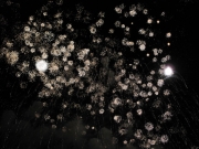 Fuochi d\'artificio sul mare