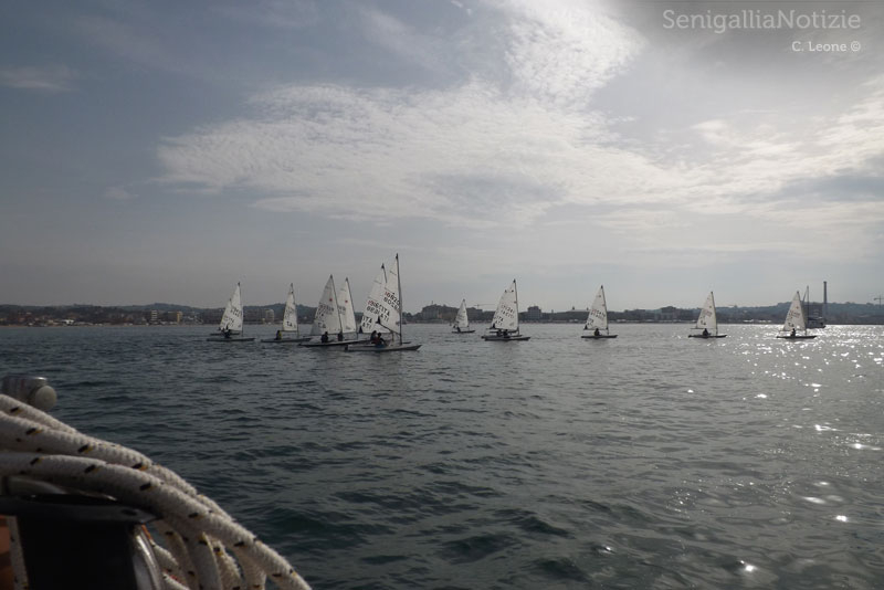 Il campo di regata dell'Italia Cup 2013