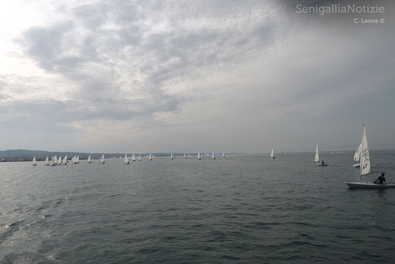Il campo di regata dell'Italia Cup 2013