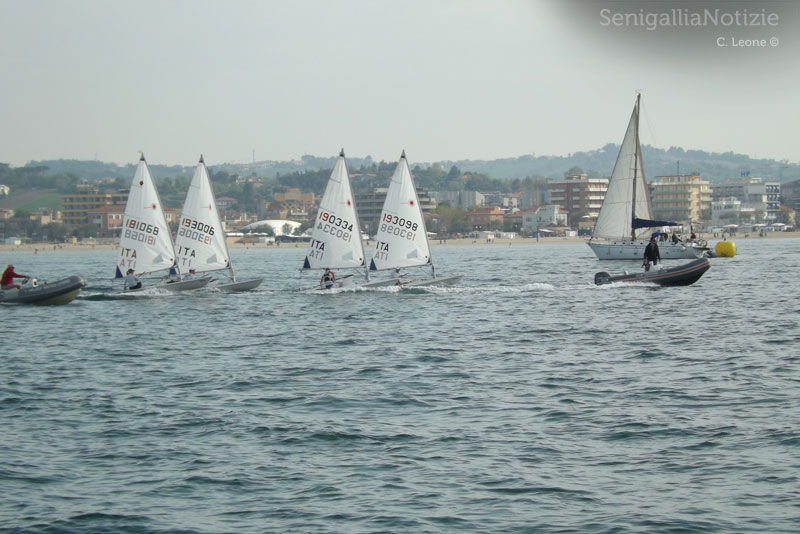 In acqua a Senigallia per l'Italia Cup 2013