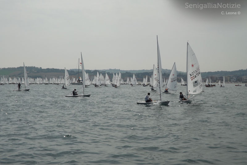 Il campo di regata dell'Italia Cup 2013