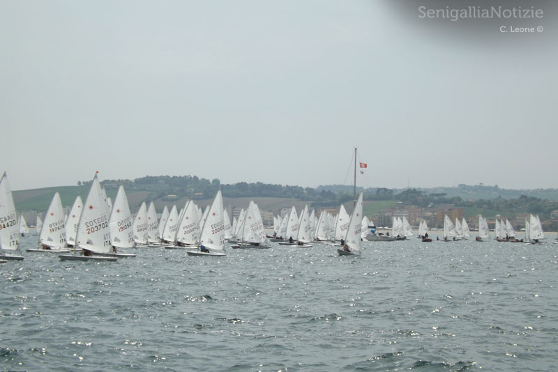 In acqua a Senigallia per l'Italia Cup 2013
