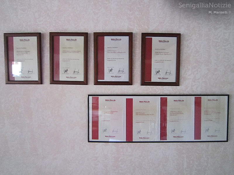 Certificazioni e riconoscimenti dell'azienda La Maddalena di Monterado