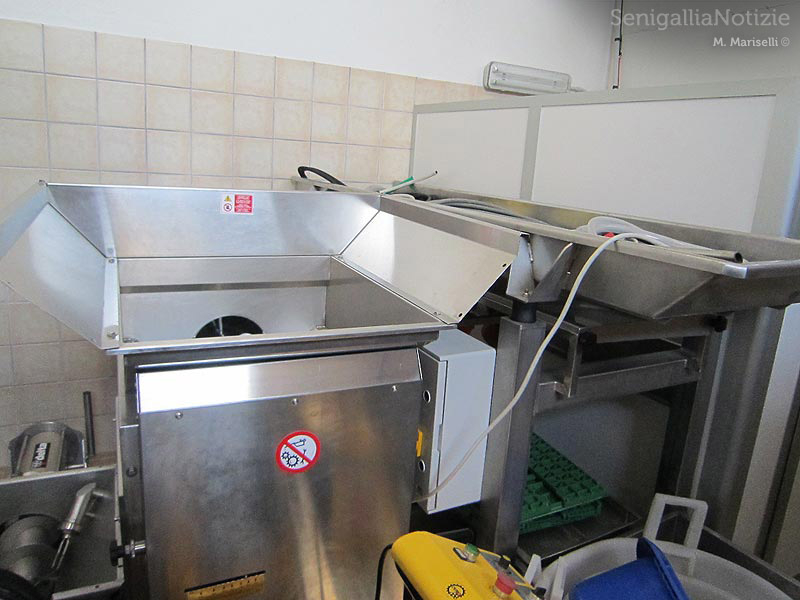 La cantina vitivinicola La Maddalena di Monterado