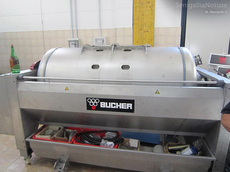 La cantina vitivinicola La Maddalena di Monterado