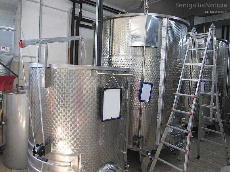 La cantina vitivinicola La Maddalena di Monterado