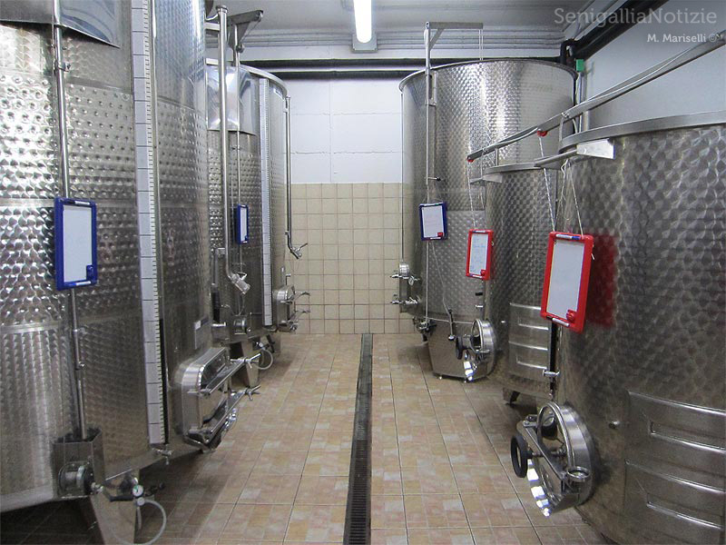 La cantina vitivinicola La Maddalena di Monterado