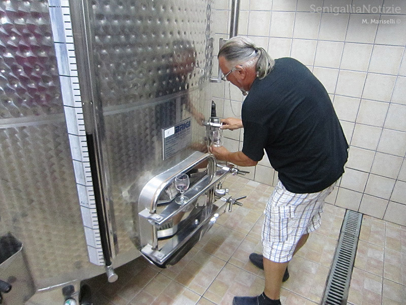 La cantina vitivinicola La Maddalena di Monterado