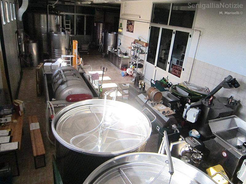 La cantina vitivinicola La Maddalena di Monterado