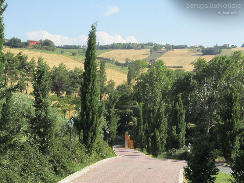 Azienda vitivinicola La Maddalena di Monterado