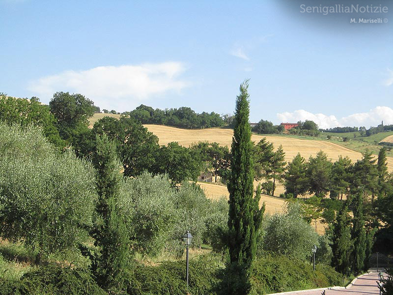 Azienda vitivinicola La Maddalena di Monterado
