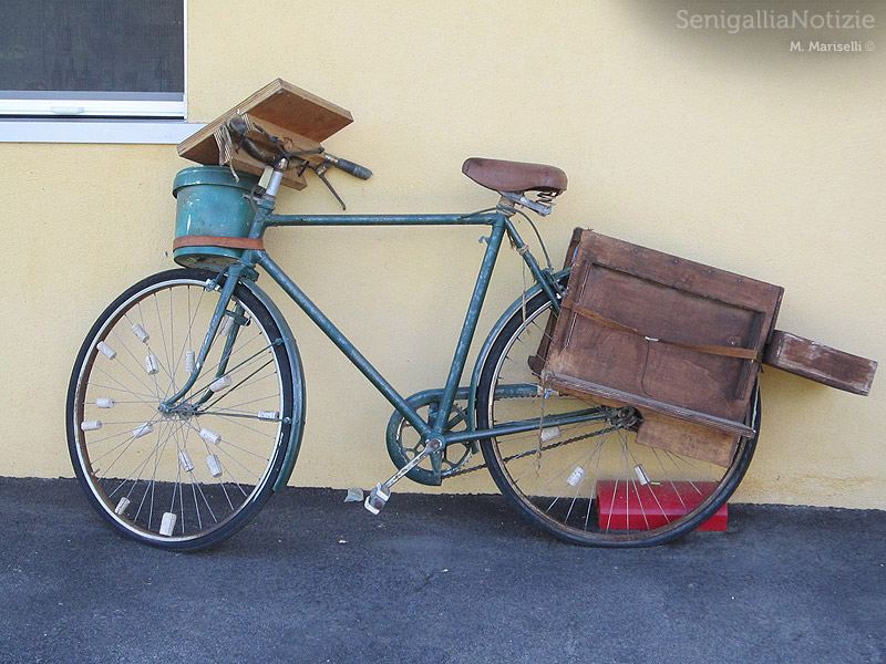 Bicicletta porta-vino nell'Azienda vitivinicola La Maddalena di Monterado