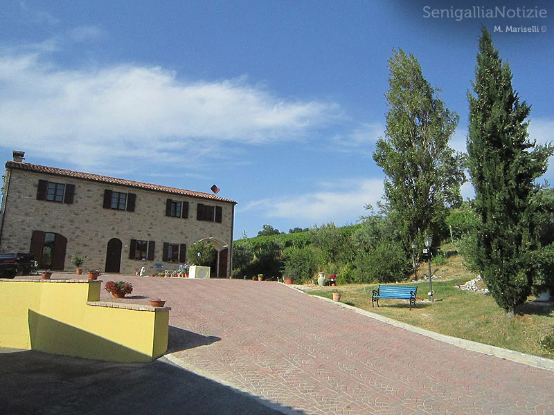 Azienda vitivinicola La Maddalena di Monterado